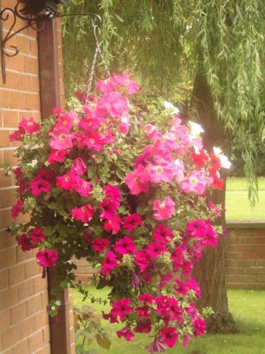 Orley House B&B
