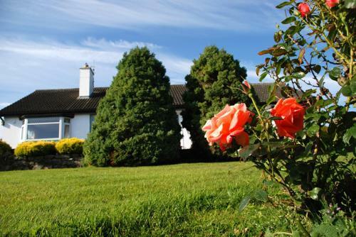 Castle View B&B
