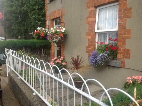 Bridge View B&B