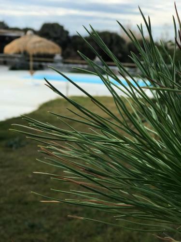 Apartamento Villa Elisabeth