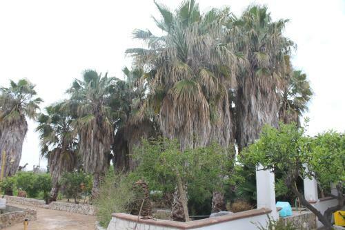 Villa Baja Verde