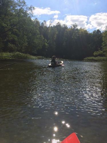 Przytulisko Na Mazurach