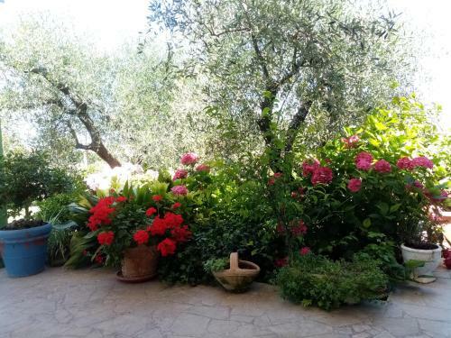 Bed & Breakfast Vecchio Casale Margherita
