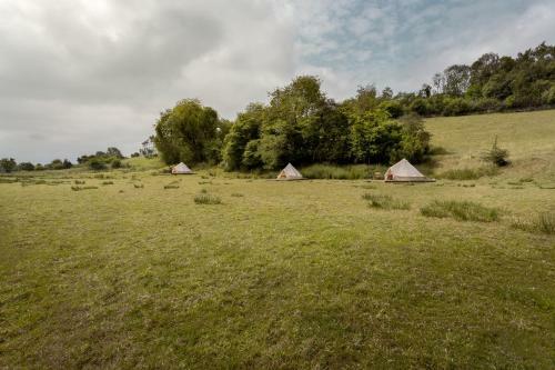 Lyth Valley Back To Basics Camping Experience In The Lake District