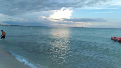 B&B Salento Il Viandante