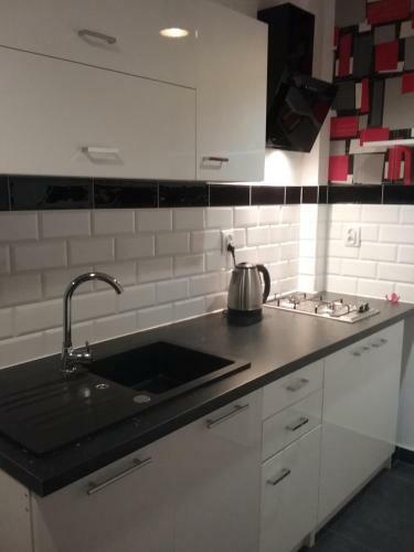 Vintage - Rose Apartament