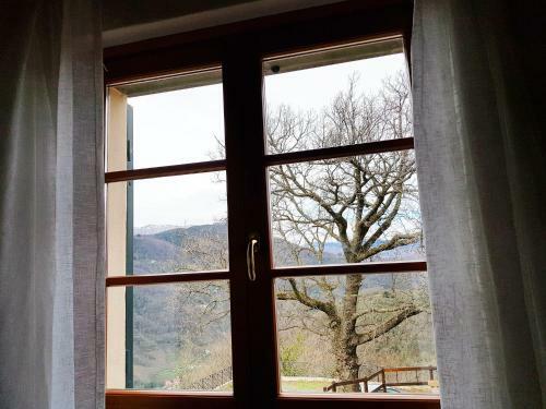 Bed & Breakfast Elsa House
