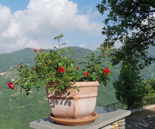 Bed & Breakfast Elsa House