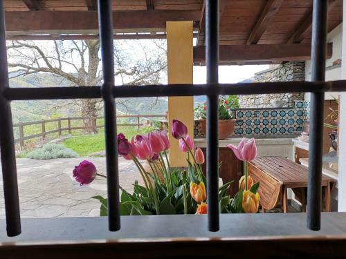 Bed & Breakfast Elsa House