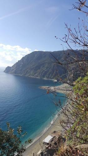 Apartamento Appartamento Le Conchiglie Monterosso Al Mare