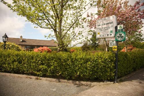 Torine House B&B