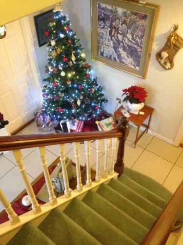 Hostal Marengo Guest Accommodation B&B