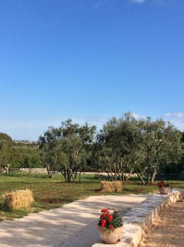 The Royal Lamia - Typical Villa