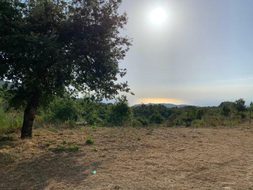 Apartamento Da Carmine In Campagna