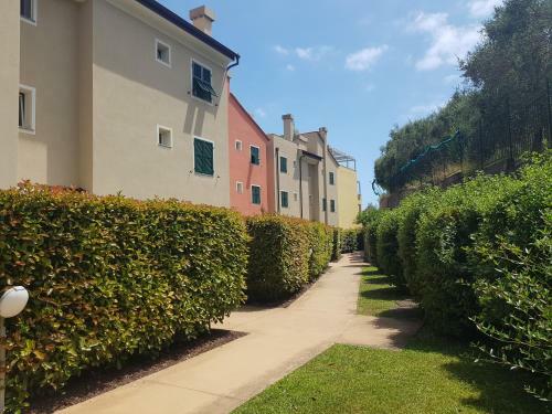 Apartamento Celeste