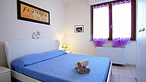 Francy House