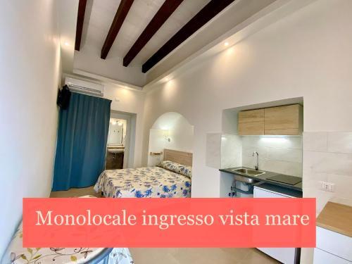 Domus ? Ponza Seaview