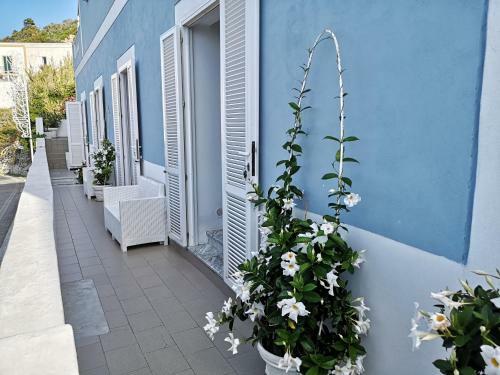 Turistcasa - B&B Casa D'amare