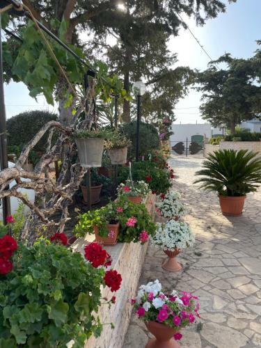 Apartamento Casa Belcolle