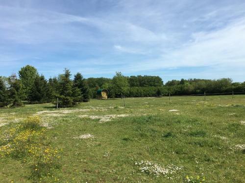 Les Irlandaises Du Petit Marsin