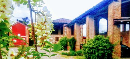 Agroturismo Casarossa