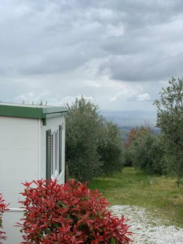Camping San Giusto