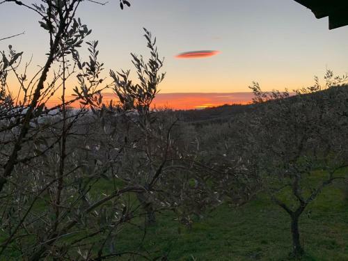 Camping San Giusto