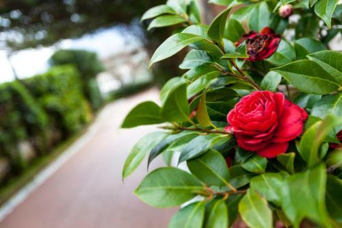 Na' Poesia B&B Di Charme