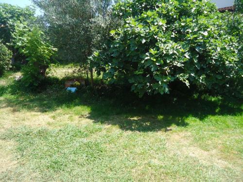 Hostal Monta�es
