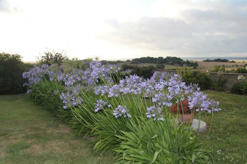 Bed & Breakfast Les Agapanthes