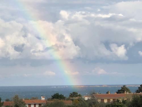 Sole Comino