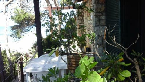 Hotel Club Torre Capovento