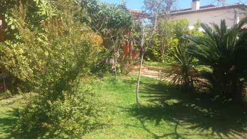 Janas B&B