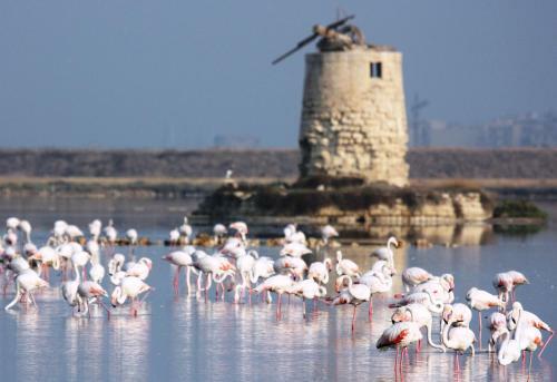 Apartamento Appartamenti Trapani Mare 3