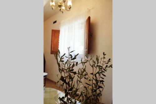 Apartamento Villa Trulli