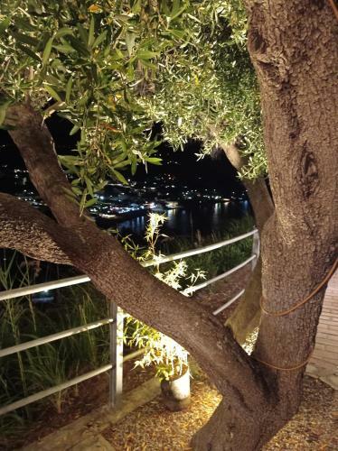 Bed & Breakfast Le Terrazze Capo Vaticano