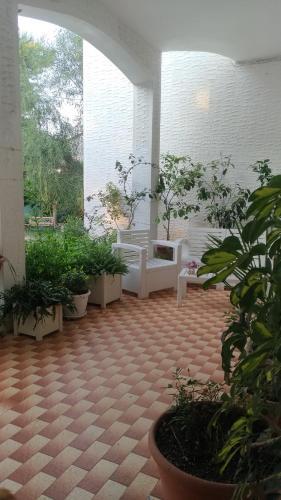 Agroturismo Agriturismo Palese