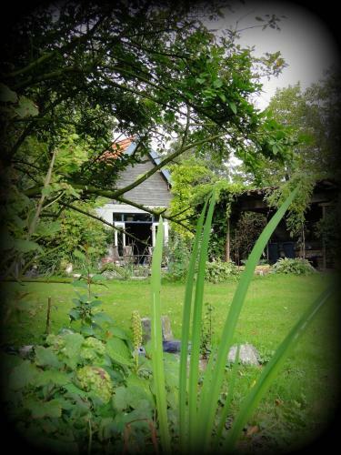 B&B De Lotus