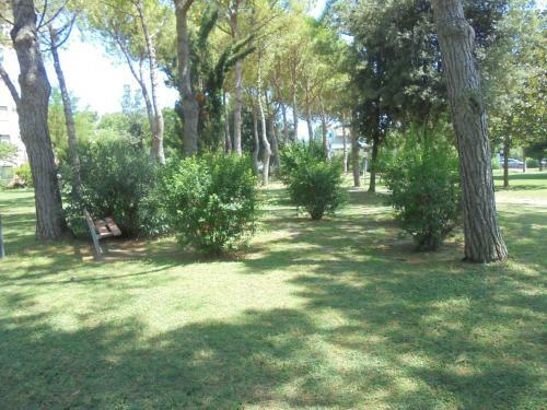 Apartamento Il Mono Di Aletta