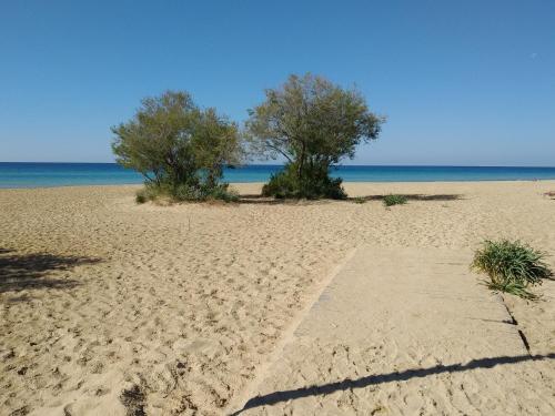 Mare Profumo Di Mare