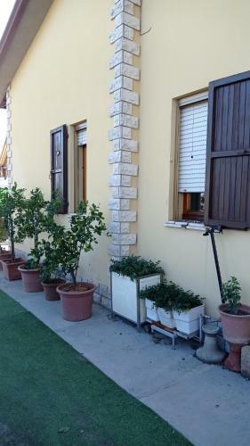Casa Di Igor