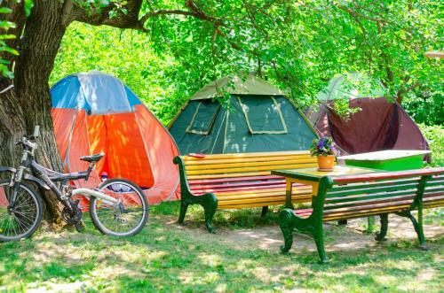 Camp'in Goris