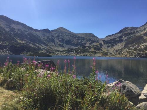 Apartamento Mountain Bliss