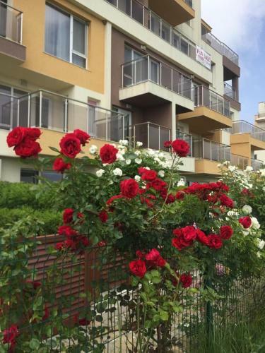 Apartamento Byla Terrace - Sea View