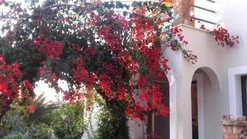 Apartamento Villa Plaka