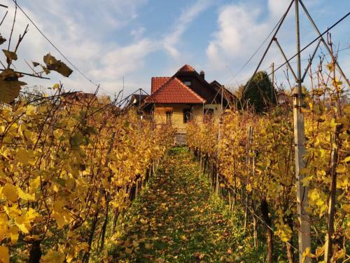 Mara's Vineyard House