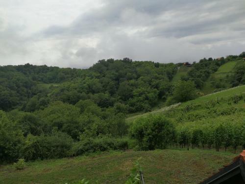 Mara's Vineyard House