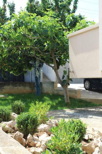 Apartment Lucy Zadar