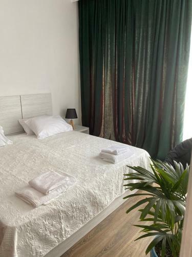 Domus Kobuleti