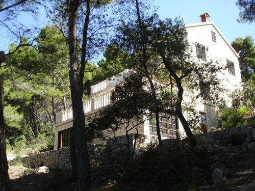 Apartamentos Ancila
